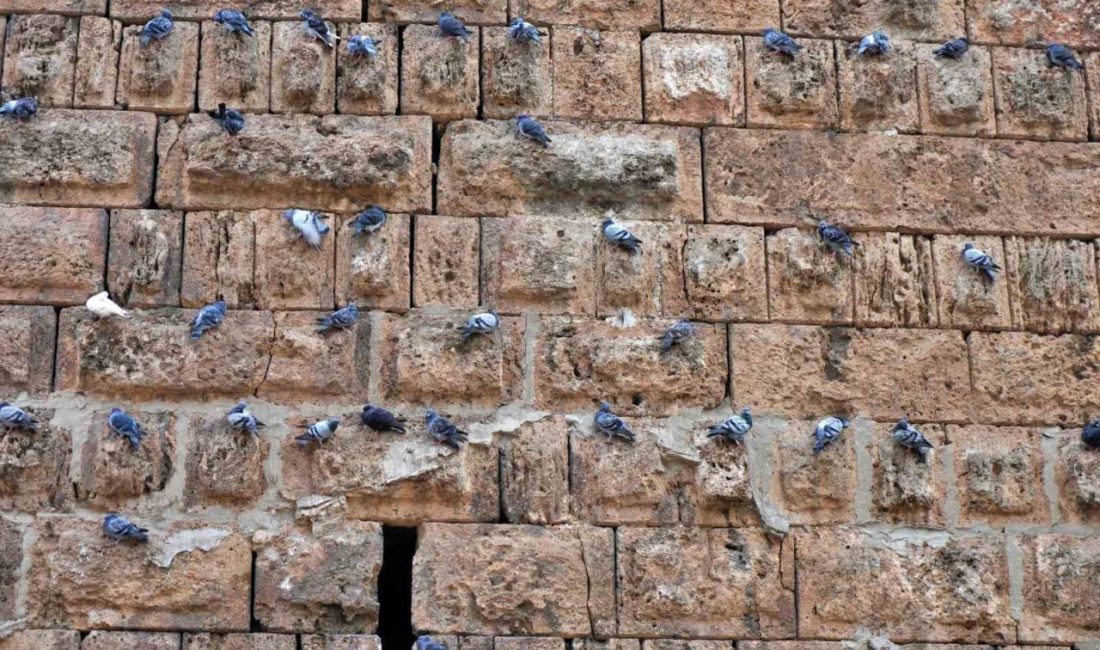 Antalya’nın simgesi Hadrianus Kapısı’nda güvercinler ve tarih iç içe Antalya’nın kalbinde, MS 130 yılında Roma İmparatoru Hadrianus’un onuruna inşa