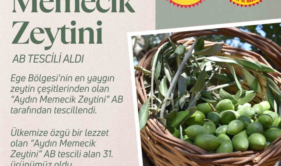 Aydın Memecik Zeytini, Avrupa Birliği’nden (AB) Türkiye’nin coğrafi işaretli 31’inci