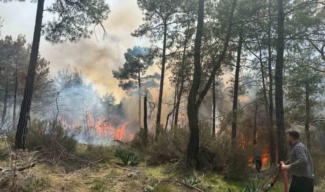 Kemer’de orman yangını Antalya’nın Kemer ilçesinde henüz bilinmeyen bir nedenle orman yangını çıktı.