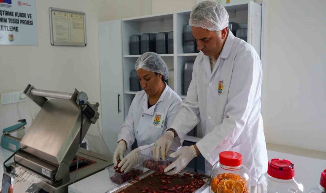 Tarsus’ta meyve ve sebze paketleme tesisi hizmete girdi Tarsus Belediyesi, tarım potansiyelini artırmak amacıyla meyve-sebze kurutma tesisinin ardından,