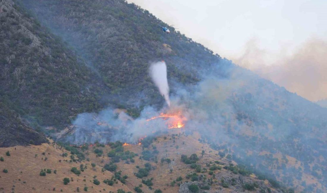 Kahramanmaraş’taki orman yangınına müdahale sürüyor Kahramanmaraş’ta ormanlık alanda çıkan yangına havadan ve karadan müdahale sürüyor.