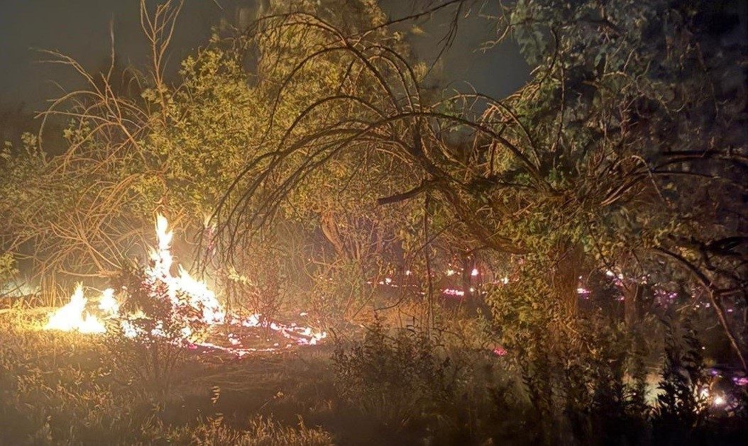 Mersin’de üç noktada çıkan yangın kontrol altına alındı Mersin’in Erdemli ilçesinde akşam saatlerinde başlayan kuvvetli rüzgarla birlikte üç