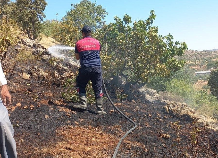 Gölbaşı’nda ormanlık alan yandı Adıyaman’ın Gölbaşı ilçesinde ormanlık alanda çıkan yangın büyümeden söndürüldü. Edinilen