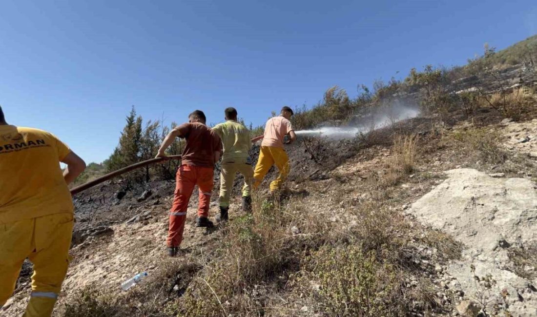 Hatay’ın İskenderun ilçesinde ormanlık alanda çıkan yangın, ekiplerin havadan ve