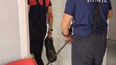 Osmaniye’de bir aile sağlığı merkezine giren yılan, itfaiye ekiplerinin başarılı