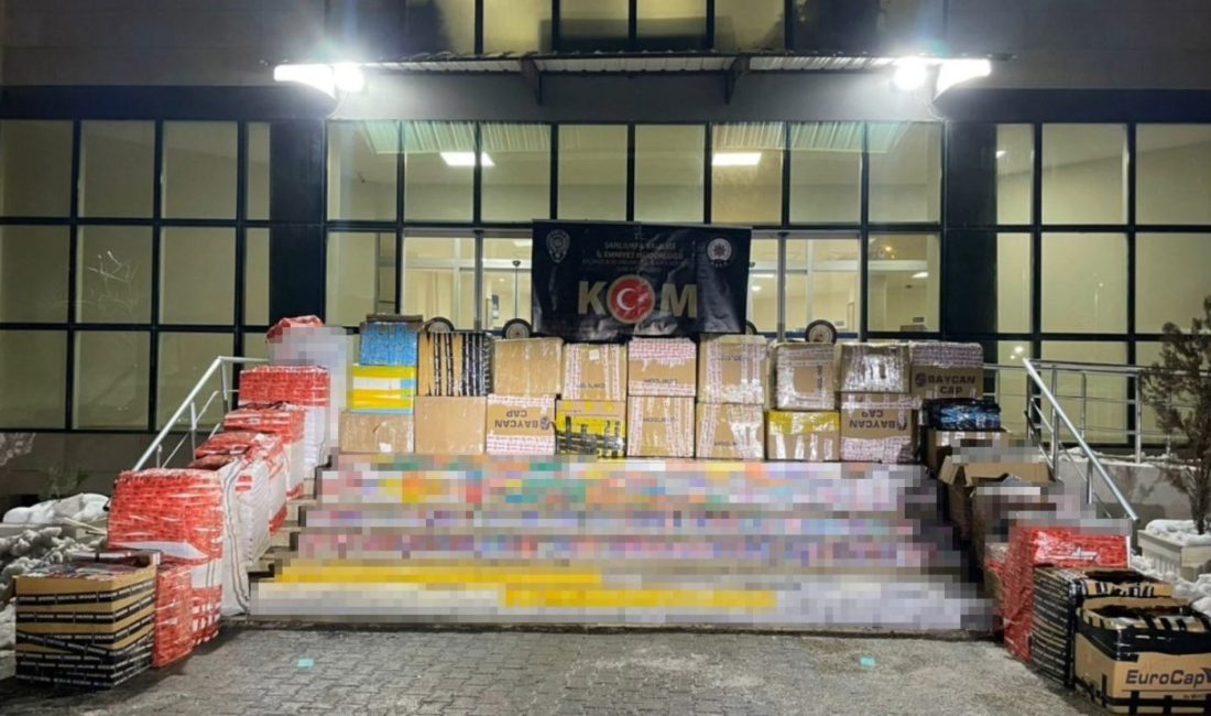 Şanlıurfa’da 15 milyon TL değerinde kaçak sigara ele geçirildi Şanlıurfa’da 15 milyon TL değerinde kaçak sigara ele geçirildi, 2