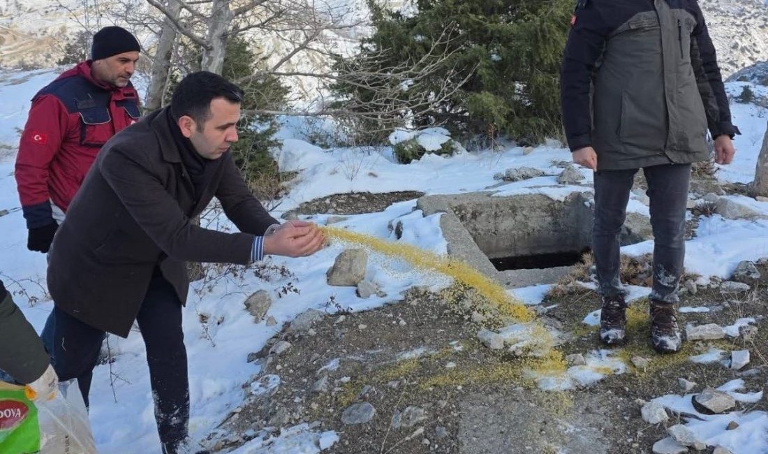 Yabani hayvanlar için doğaya yem bırakıldı Adıyaman’ın Gölbaşı ilçesinde etkili olan yoğun kar yağışı nedeniyle, yaban