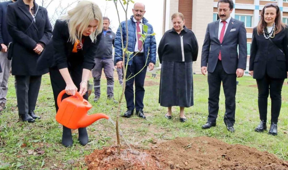 Daha yeşil bir kampüs anlayışıyla çalışmalarına devam eden Akdeniz Üniversitesi’nde