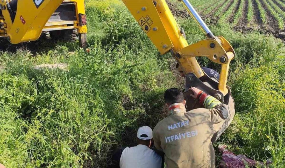 Hatay’ın Antakya ilçesinde kuyuya düşerek mahsur kalan büyükbaş hayvan, itfaiye