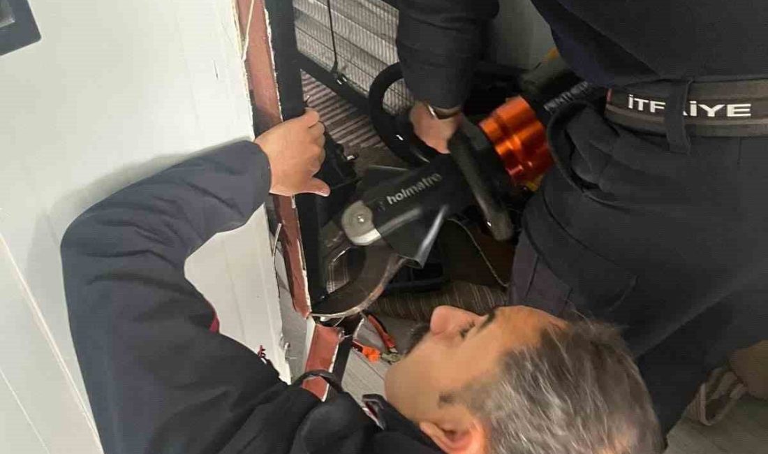 Hatay’ın Antakya ilçesinde profil demirlerinin arasına sıkışarak mahsur kalan kuş,