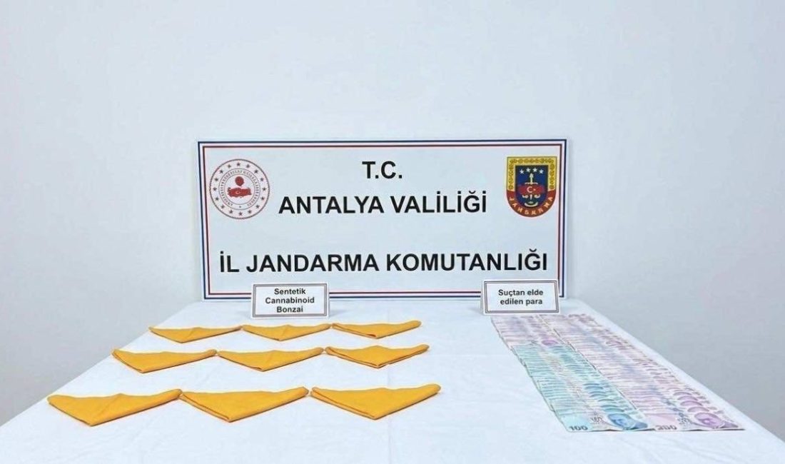 Antalya’da jandarma ekipleri tarafından yapılan uyuşturucu operasyonunda yaklaşık 25 bin