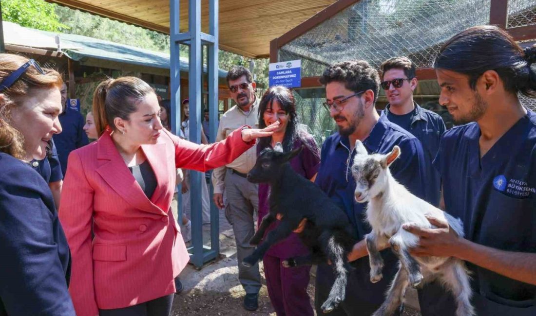 Antalya Büyükşehir Belediyesi Başkan Vekili Büşra Özdemir, Dünya Veteriner Hekimler
