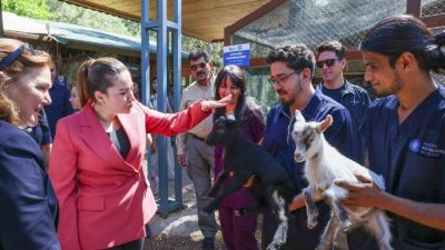 Antalya Büyükşehir Belediyesi Başkan Vekili Büşra Özdemir, Dünya Veteriner Hekimler