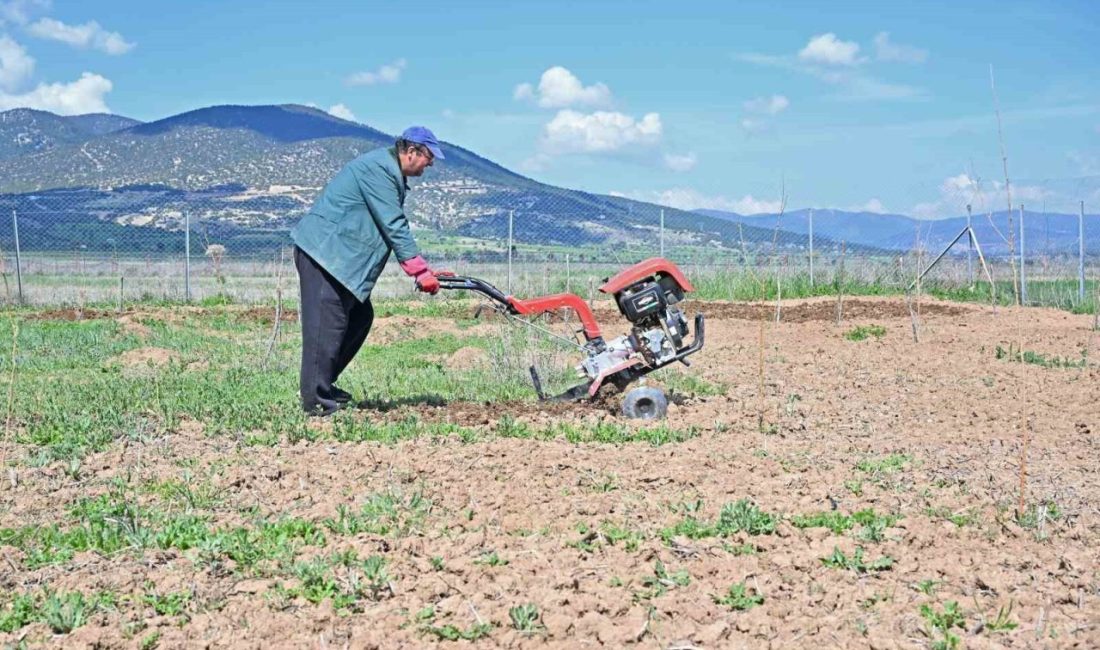 Antalya Büyükşehir Belediyesi hem geleneksel ipek böceği yetiştiriciliğini yaşatmak hem