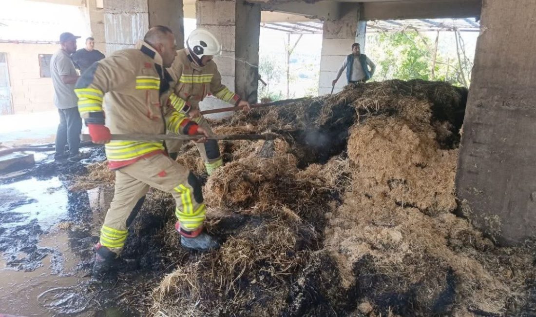 Hatay’ın Defne ilçesinde çıkan samanlık yangını kısa sürede kontrol altına