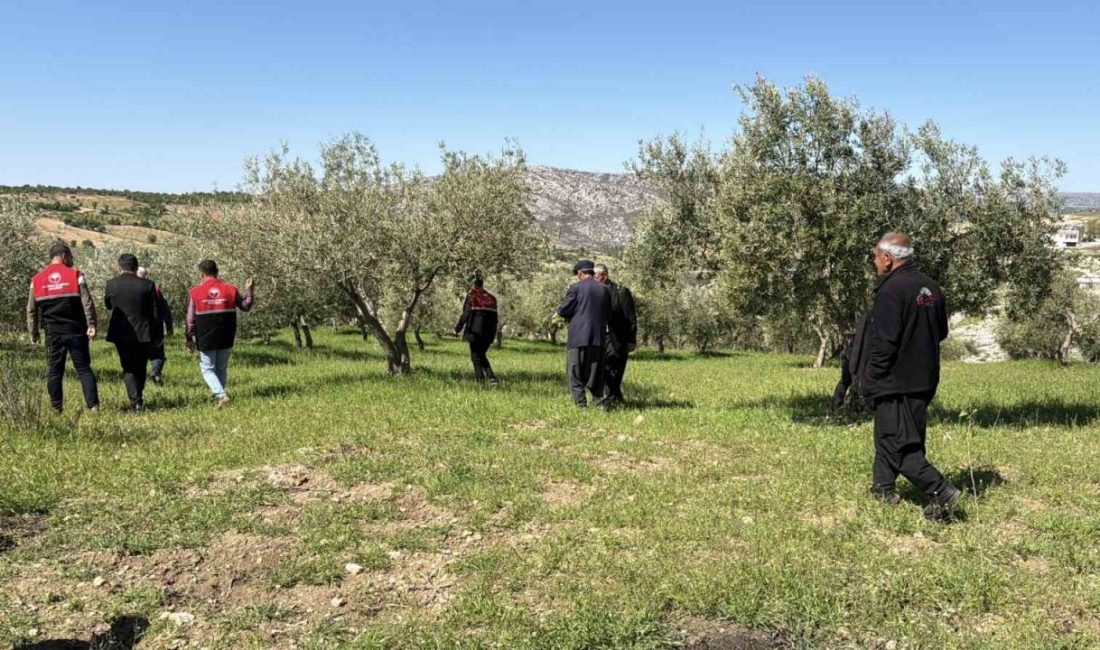 Adıyaman’da etkili olan dolu yağışı nedeniyle ağaçlar zarar gördü. Tarım