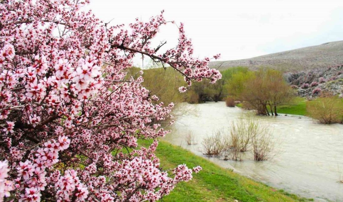 Kahramanmaraş’ın Afşin ilçesinde yer alan Hurman Çayı, baharın gelişiyle birlikte
