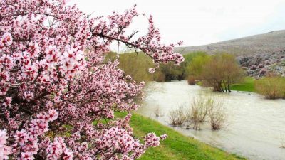 Kahramanmaraş’ın Afşin ilçesinde yer alan Hurman Çayı, baharın gelişiyle birlikte