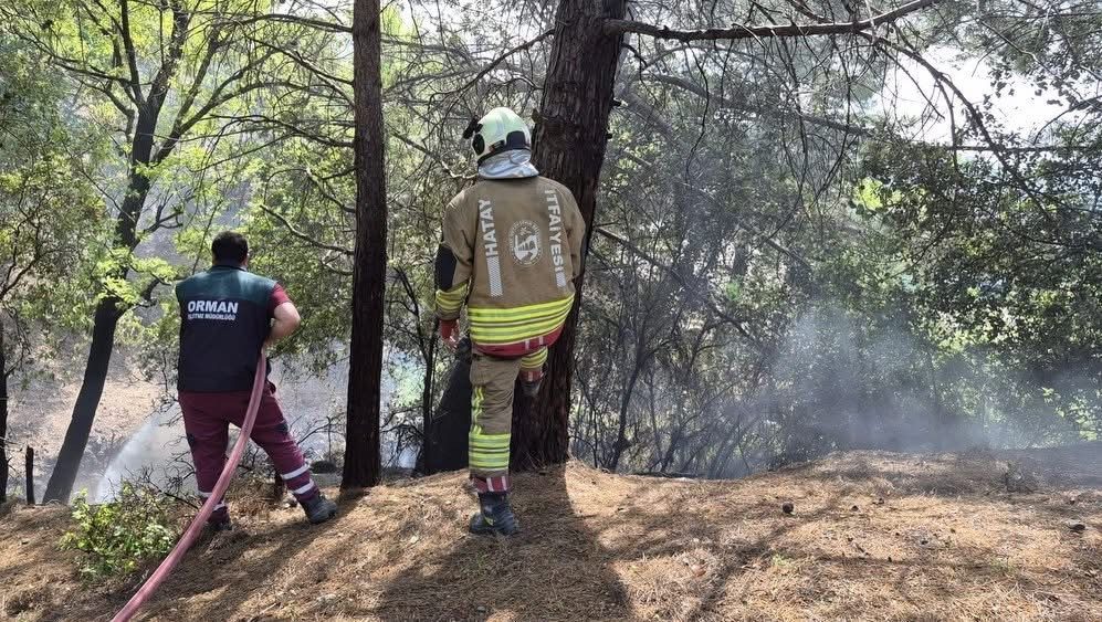 Hatay’ın İskenderun ilçesinde yaylada çıkan orman yangını büyümeden kontrol altına