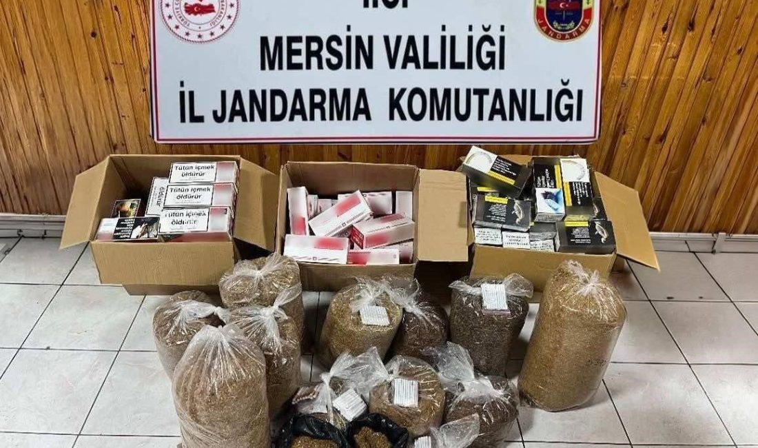 Mersin’de jandarma ekiplerinin düzenlediği operasyonda 2 şüpheli yakalanırken, binlerce makaron