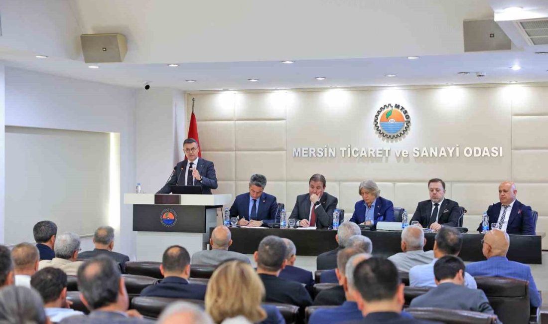 Mersin Ticaret ve Sanayi Odası (MTSO) Yönetim Kurulu Başkanı Hakan