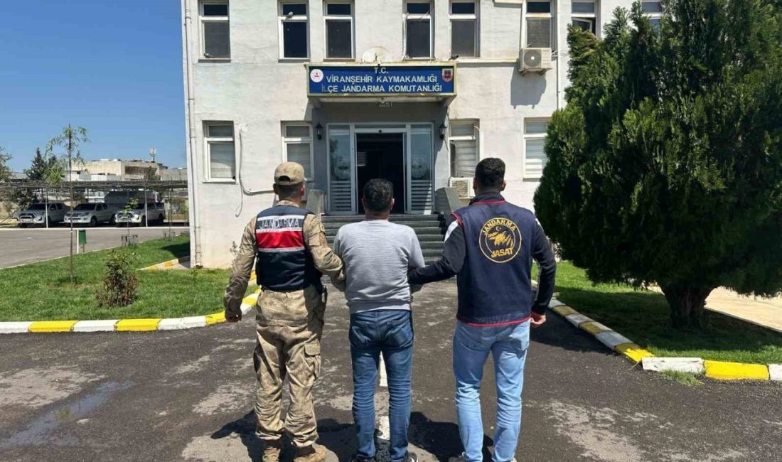Şanlıurfa’da haklarında kesinleşmiş hapis cezası bulunan 2 hükümlü jandarma ekiplerince