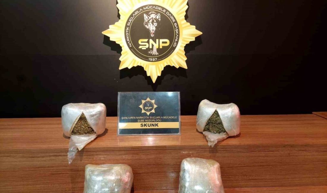 Şanlıurfa’da durdurulan araçta 2 kilo 450 gram skunk ele geçirildi.