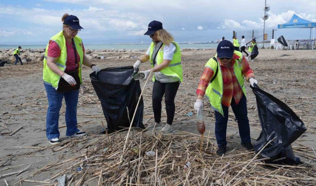 Mersin’in Tarsus ilçesinde belediye ekipleri, deniz kaplumbağalarının yuvalama alanlarını korumak