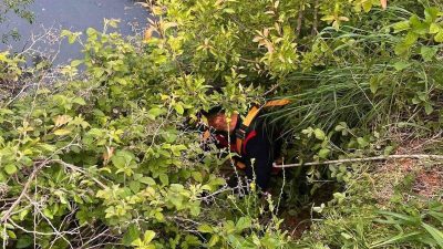 Hatay’ın Yayladağı ilçesinde su göletine düşerek mahsur kalan büyükbaş hayvan,