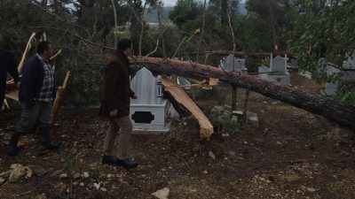 Adıyaman’ın Gölbaşı ilçesinde şiddetli fırtına nedeniyle ağaçlar devrildi. Gölbaşı ilçesine