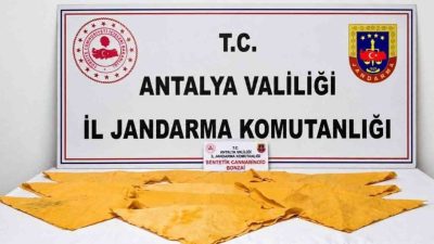 Antalya İl Jandarma Komutanlığınca Alanya ilçesinde düzenlenen uyuşturucu operasyonunda 1