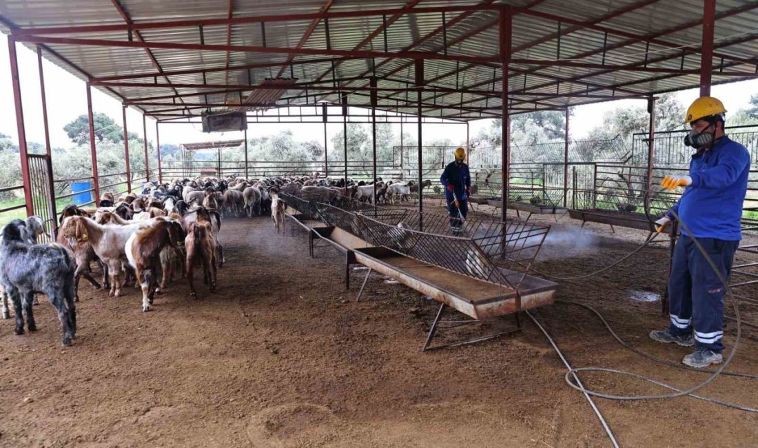 Antalya Büyükşehir Belediyesi, yaz aylarında sinek ve haşerelere karşı popülasyonu