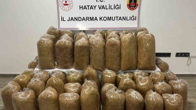 Hatay’da İl Jandarma Komutanlığı ekiplerince son bir ay içerisinde gerçekleştirilen