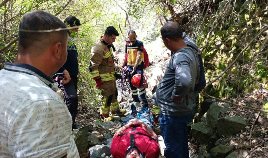 Hatay’da kekik toplamak için gittiği ormanlık alanda 15 metre yükseklikteki