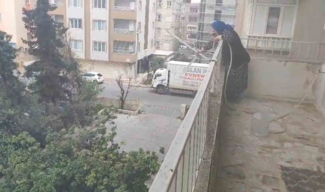 Şanlıurfa’nın Haliliye ilçesinde alev alan park halindeki hafif ticari araç