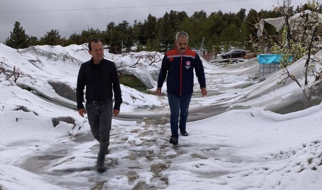 Toroslar’da yağışın ardından hasar tespit çalışmaları başladı Mersin’in Toroslar ilçesinin yüksek rakımlı bölgelerinde etkili olan kar yağışının