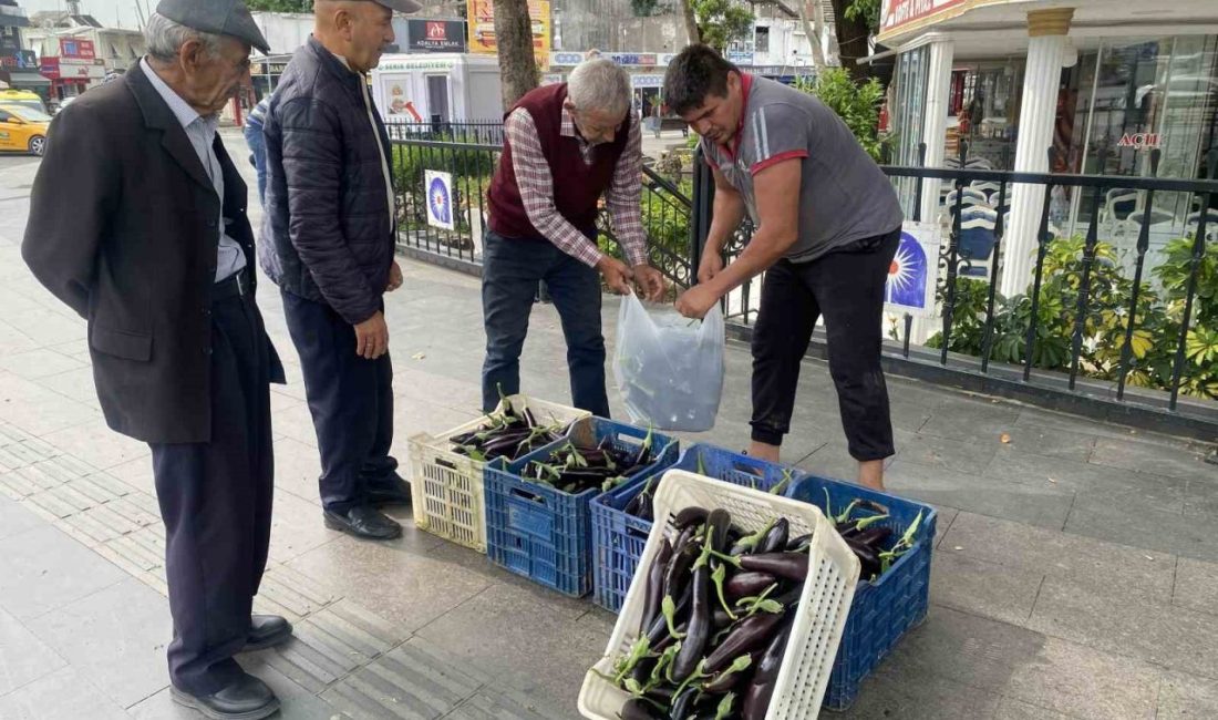 Antalya’da bir üretici maliyetini kurtarmadığı gerekçesiyle tonlarca patlıcanı halka ücretsiz