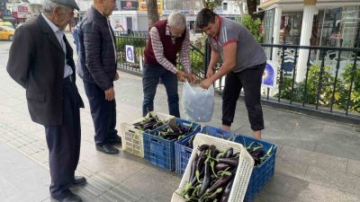 Antalya’da bir üretici maliyetini kurtarmadığı gerekçesiyle tonlarca patlıcanı halka ücretsiz